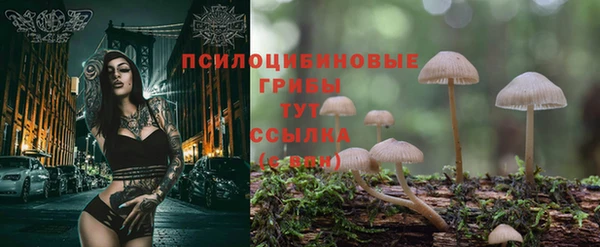 герыч Абаза